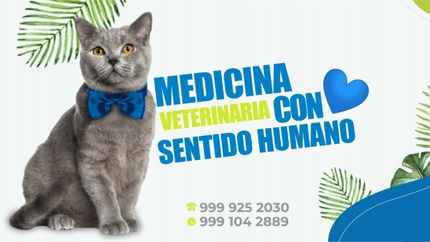 Hospital Veterinario del Mayab, Centro de Mérida