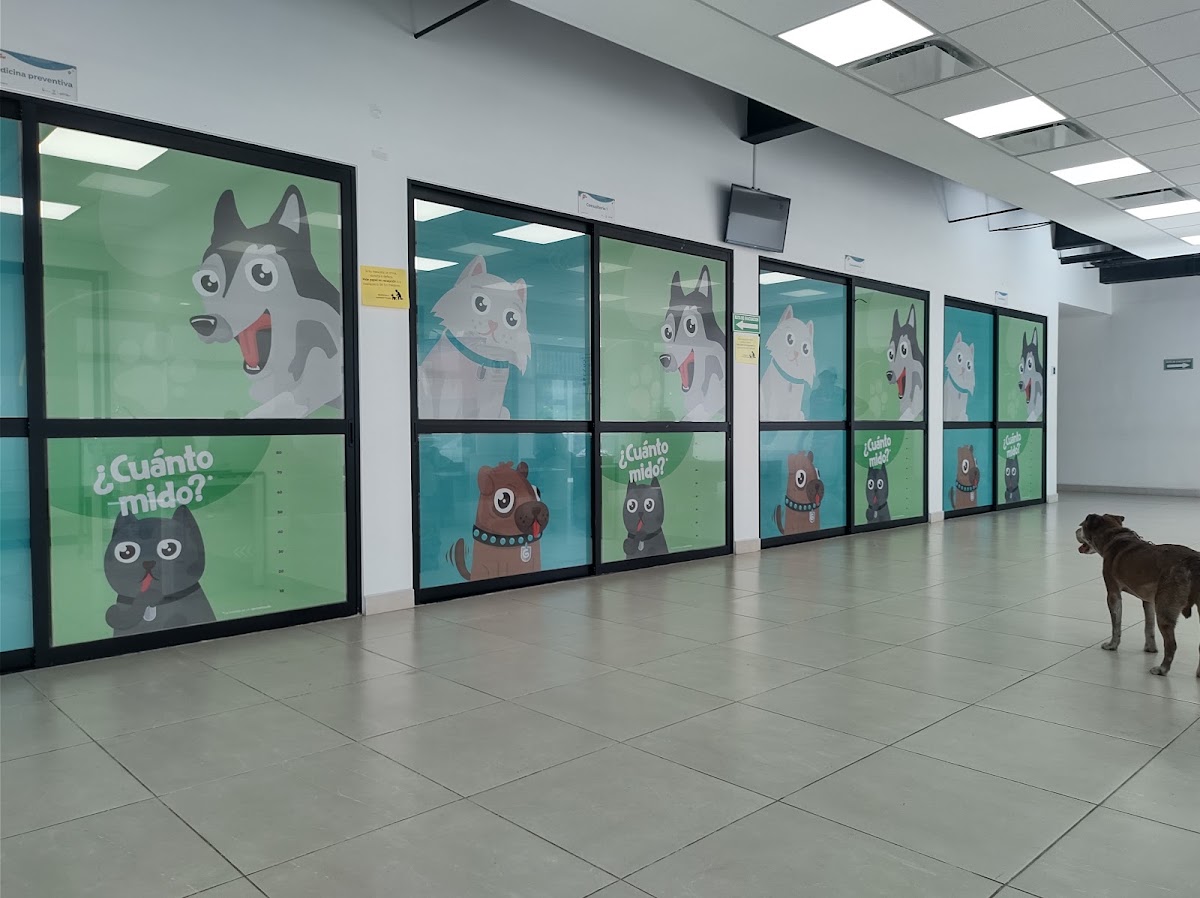 CISAZ (Centro Integral de Salud Animal Zapopan), Zapopan