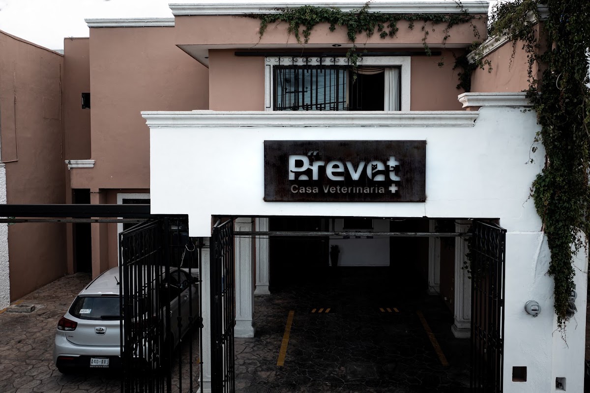 Prevet - Casa Veterinaria, Otras zonas