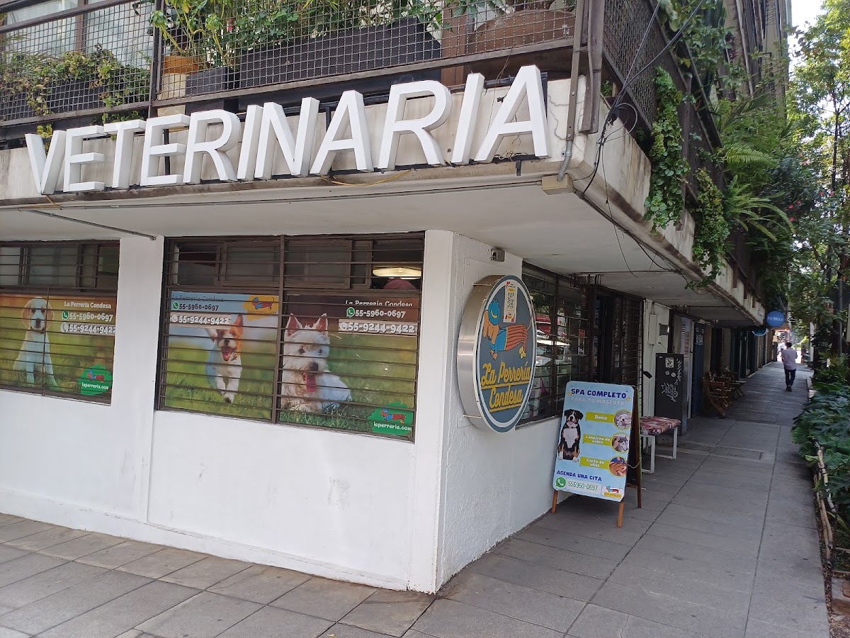 La Perrería Condesa, Condesa