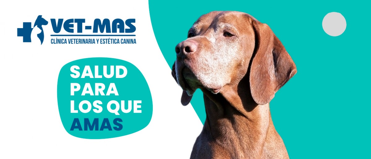 Clínica Veterinaria Vet-Mas - Cirugía Veterinaria, Otras zonas