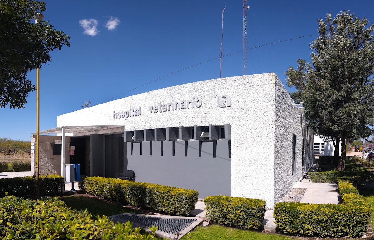 Hospital Veterinario de Pequeñas Especies UAA, Otras zonas