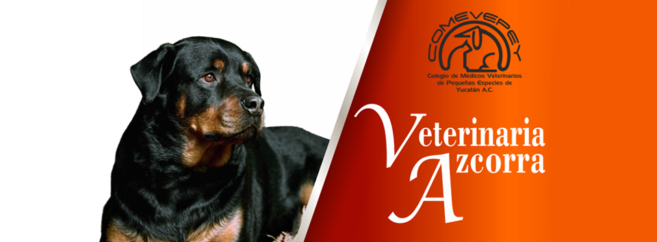 Veterinaria Azcorra, Otras zonas