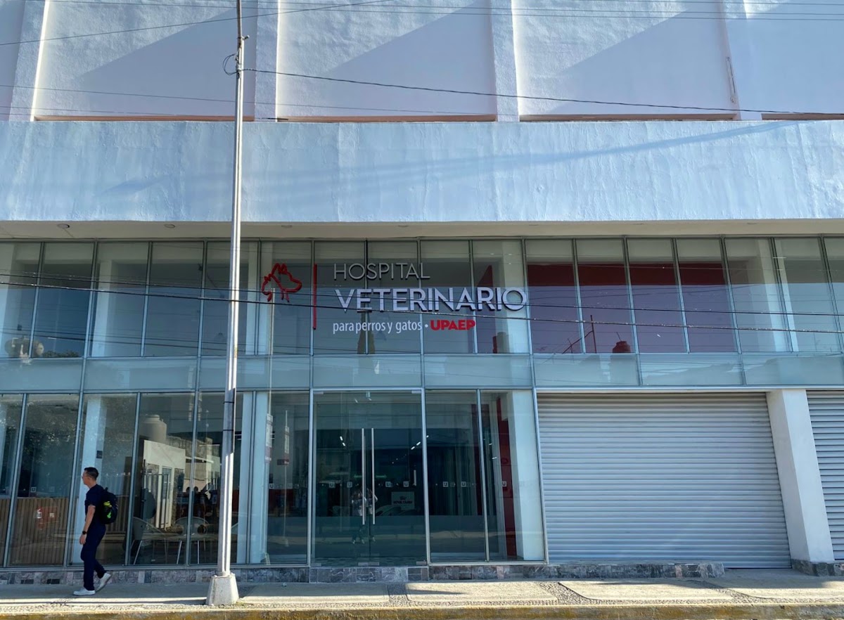 UPAEP Hospital Veterinario, Otras zonas