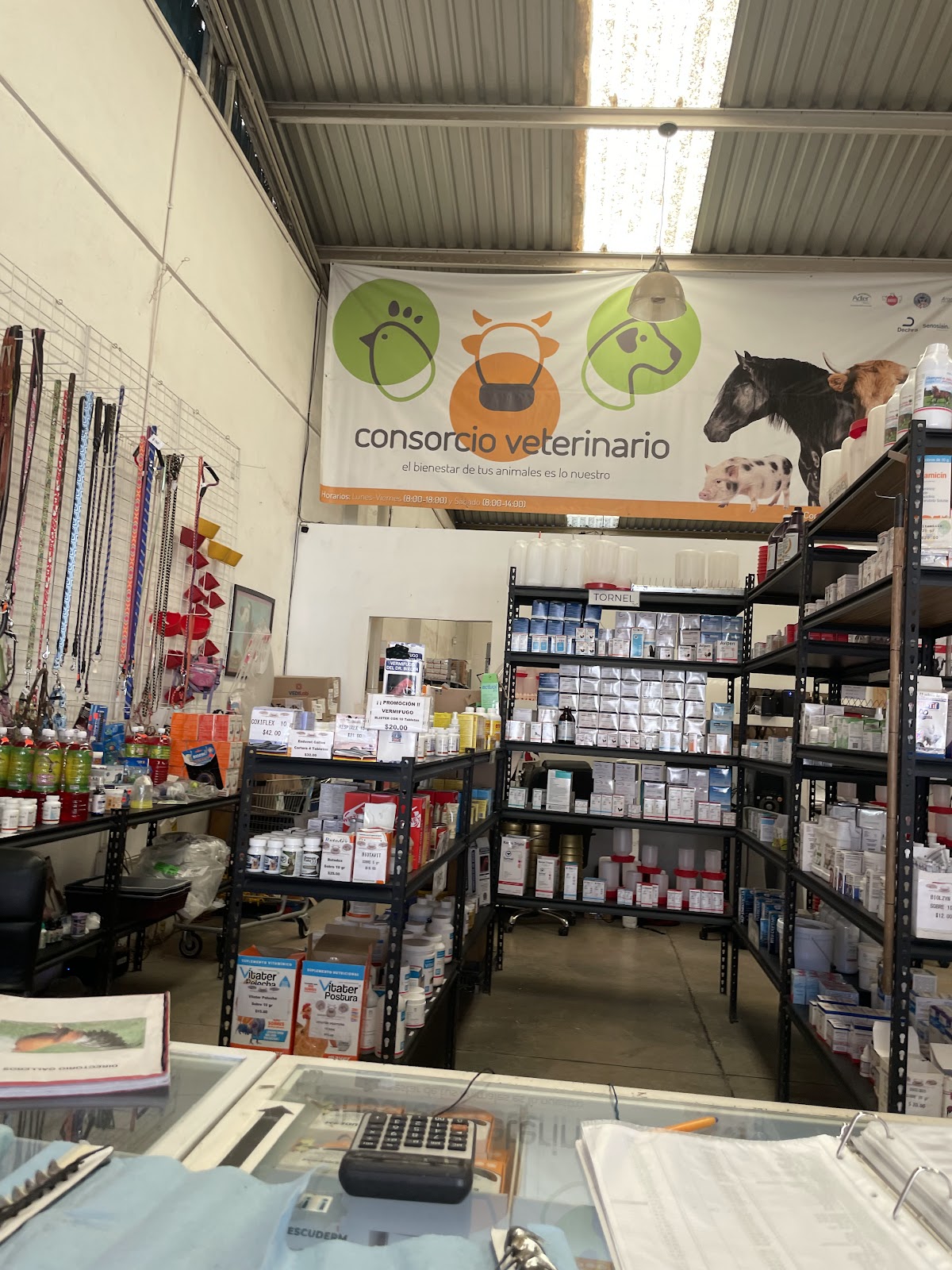 Consorcio Veterinario S.A. de C.V., Otras zonas