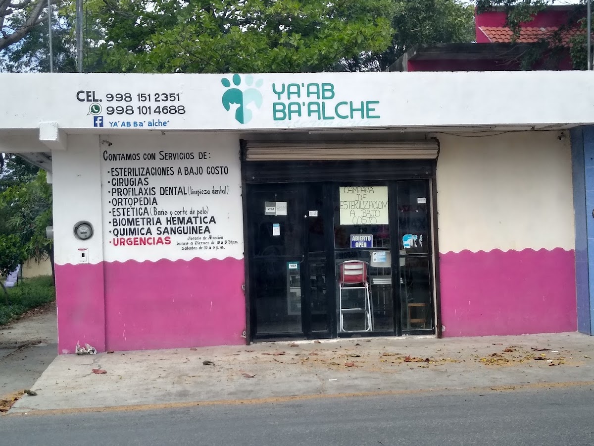 Ya'ab Ba'alche Veterinaria, Otras zonas