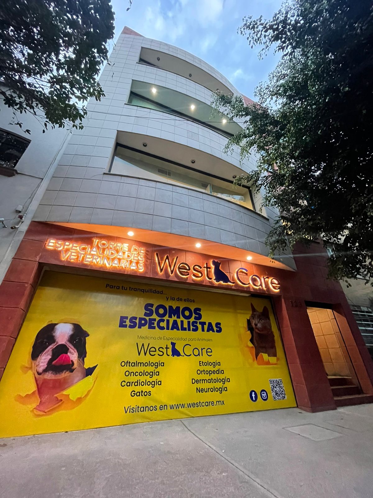 Hospital Veterinario WestCare Condesa, Condesa