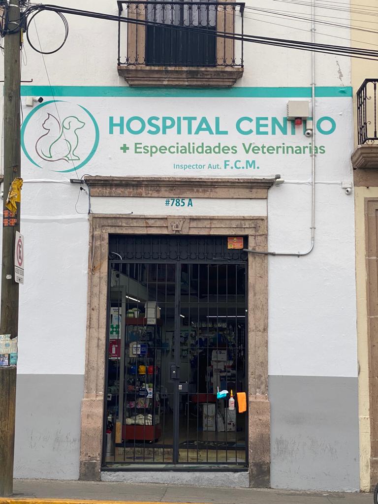 Hospital Centro Veterinario, Centro Histórico