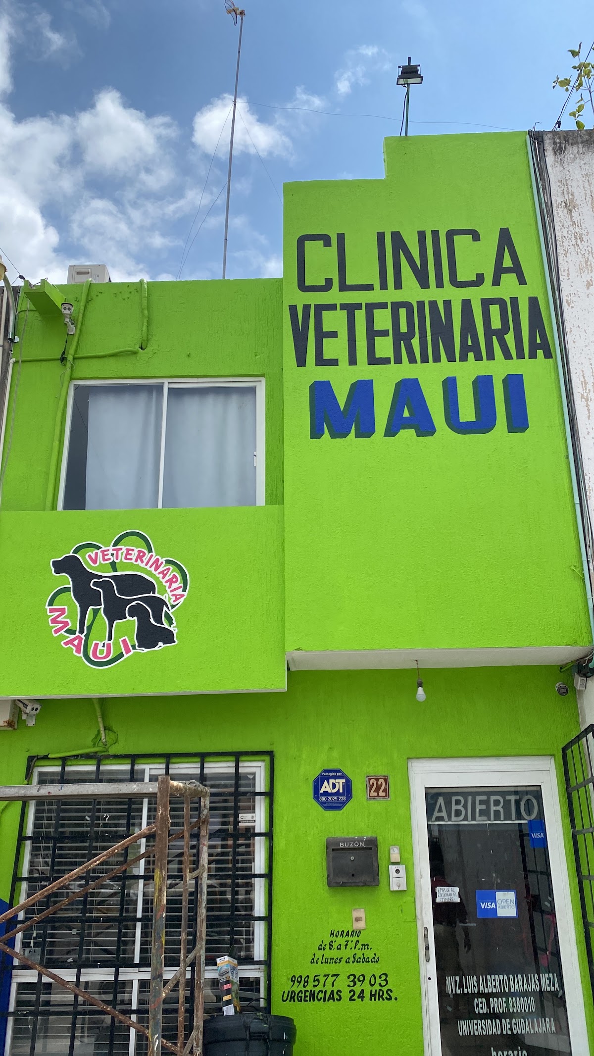Clinica Veterinaria Maui, Otras zonas