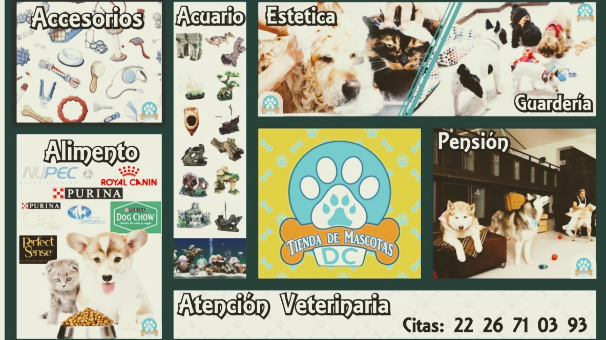 Veterinaria DC, Cholula