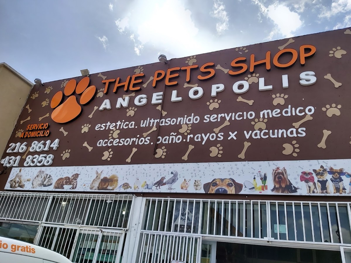 The Pets Shop Angelopolis, Angelópolis