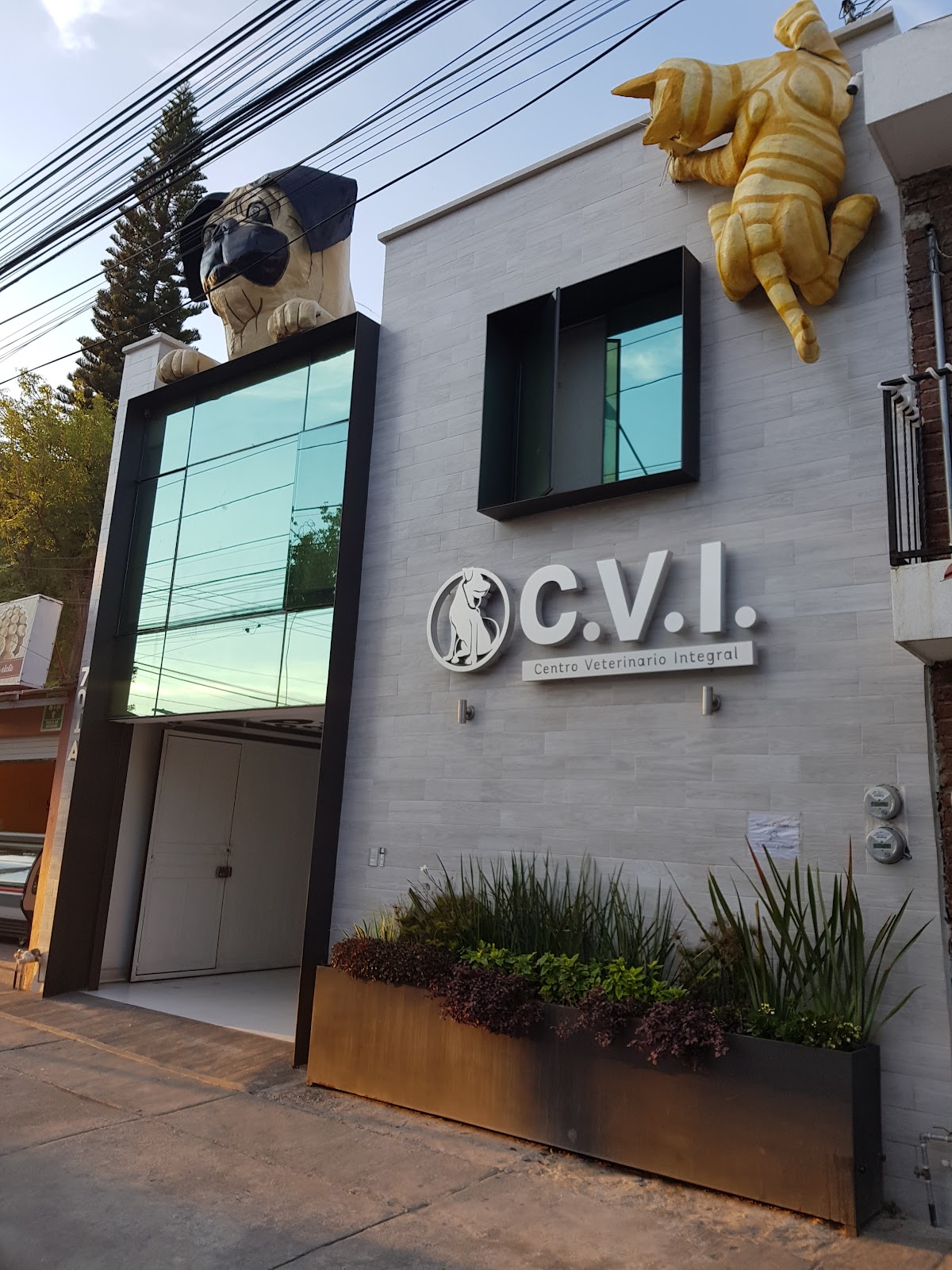 Centro Veterinario Integral, Otras zonas