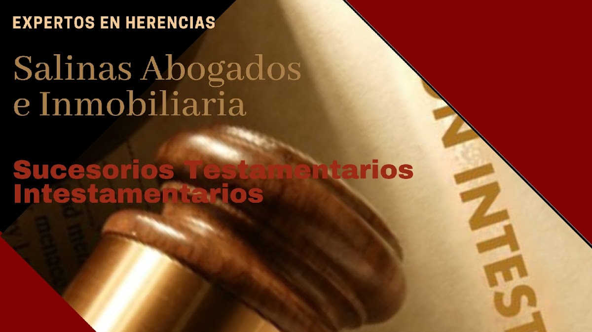 Salinas Abogados e Inmobiliaria, Otras zonas