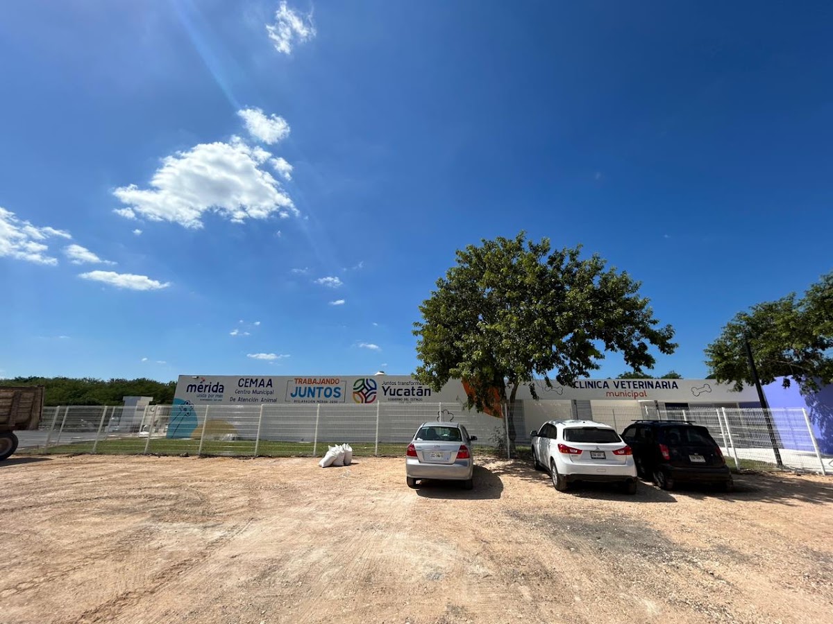 Centro Municipal de Atención Animal (CEMAA), Otras zonas