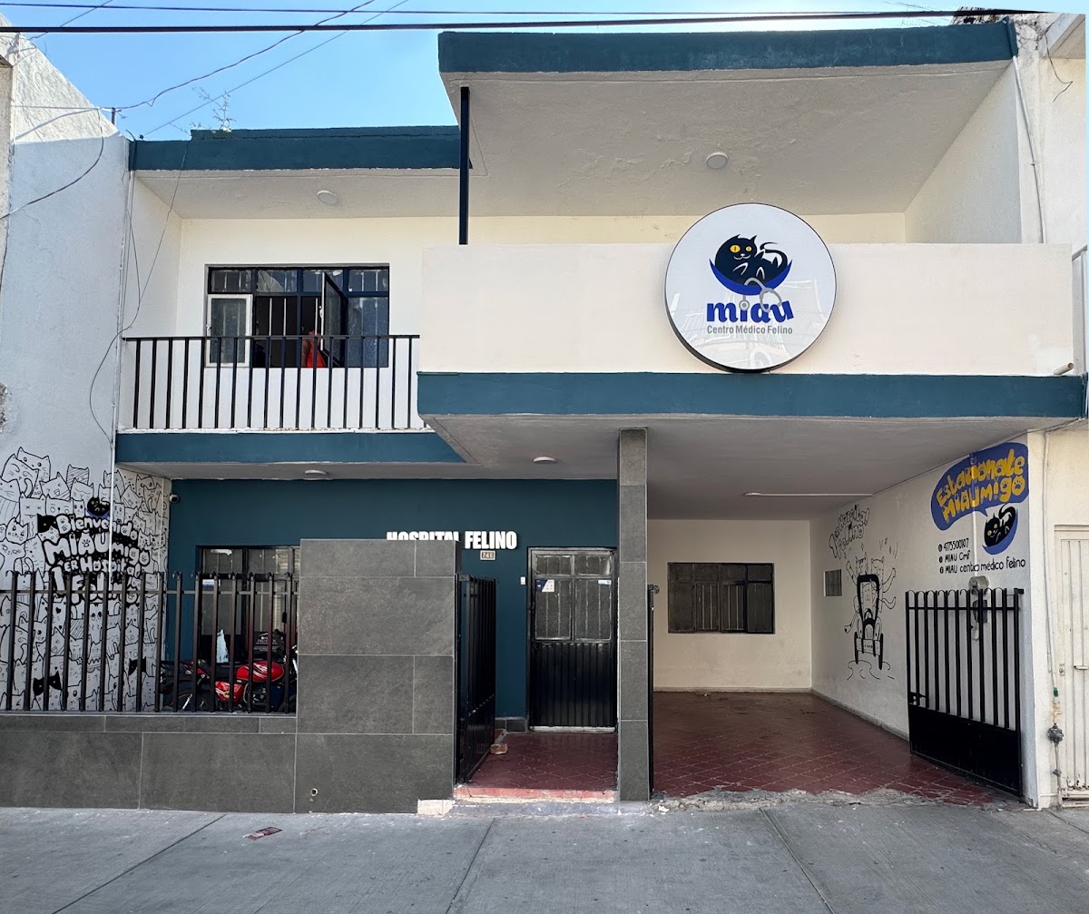 Miau centro médico felino, Otras zonas