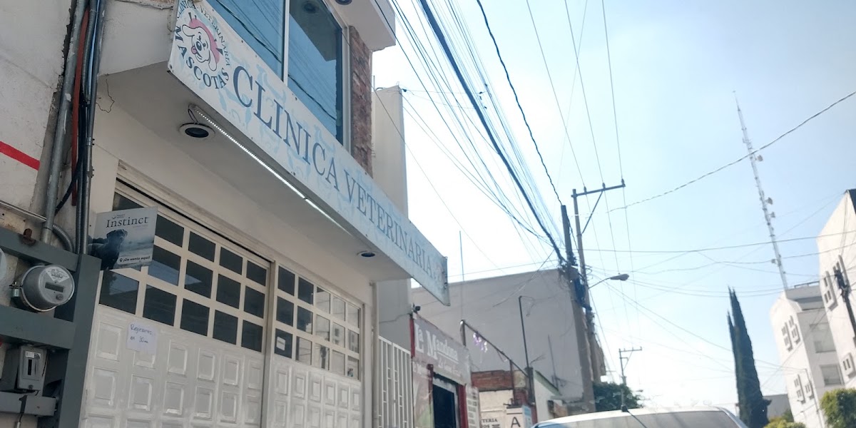 Clinica - Veterinaria Mascotas, Cholula
