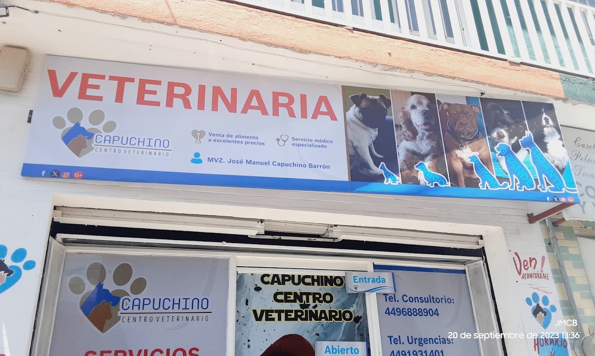 Capuchino Centro Veterinario, Centro