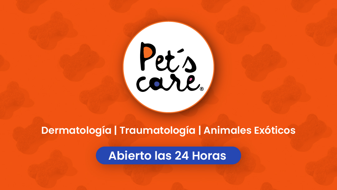 Pets Care Hospital Veterinario Dermatólogo Veterinario en Monterrey…, Otras zonas