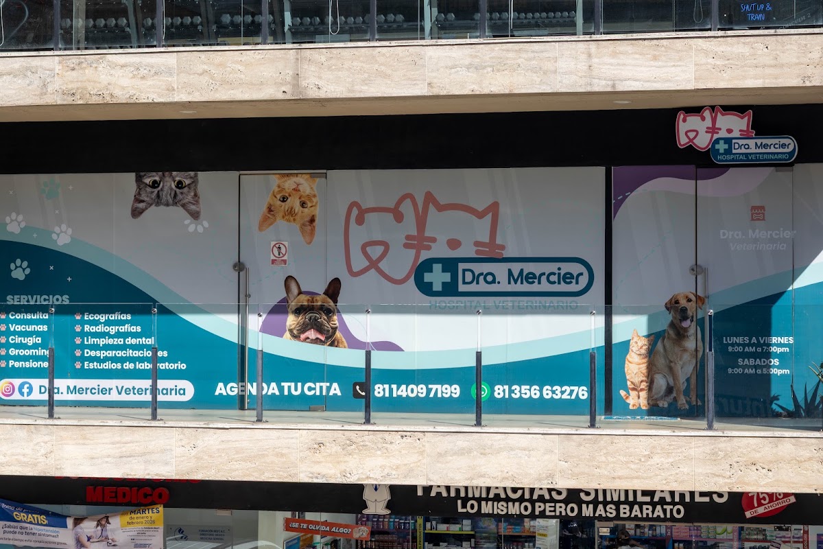 Dra. Mercier Hospital Veterinario, Otras zonas