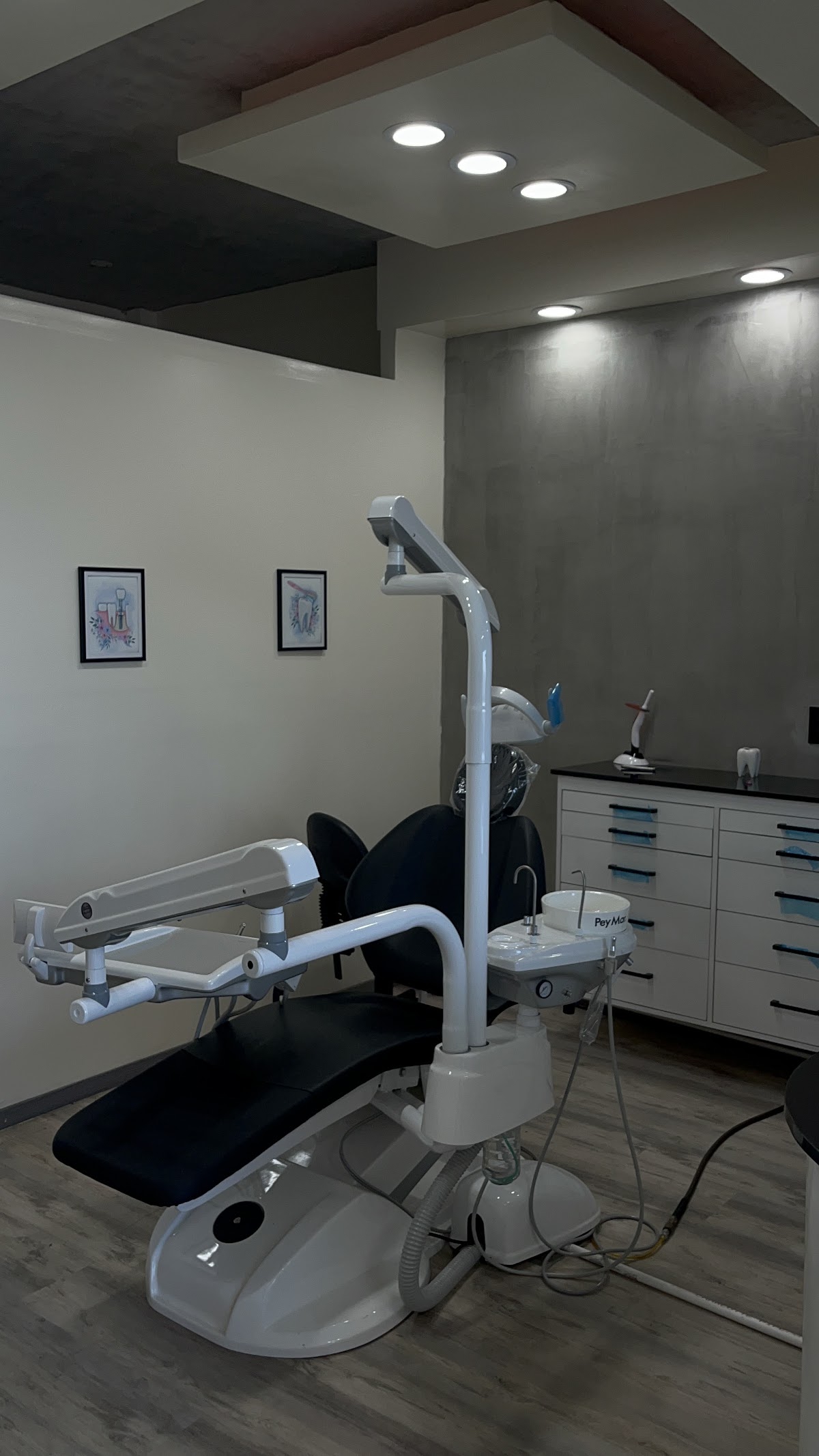 Dra. Daniela Arreola - Dentista en Tijuana, Otras zonas