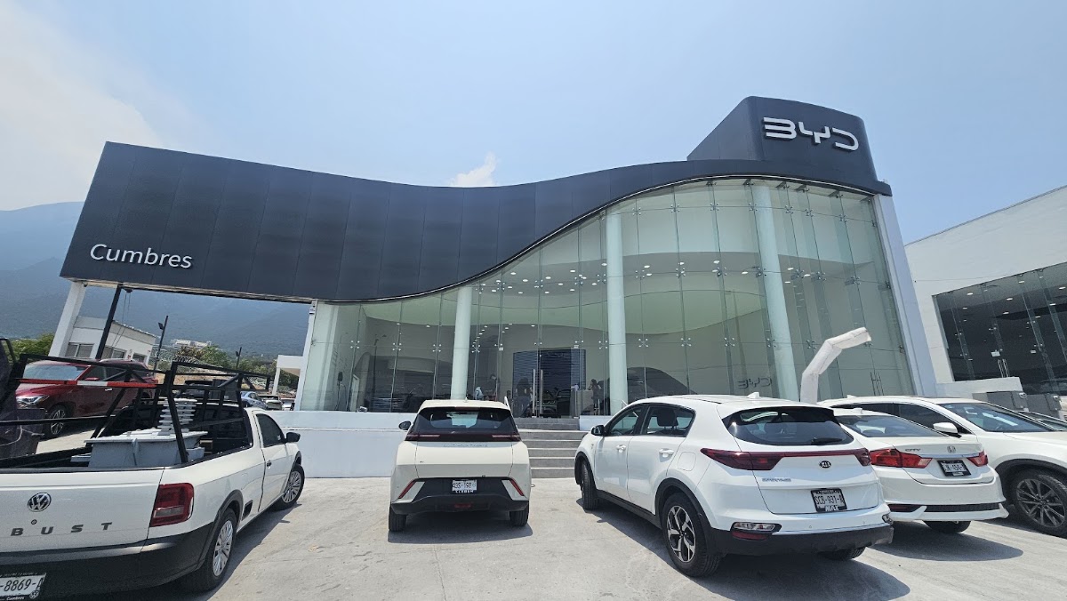 BYD Cumbres, Cumbres