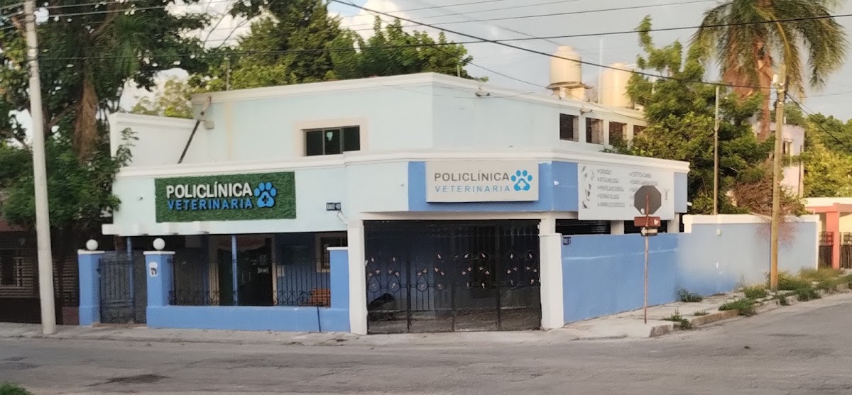 Policlínica Veterinaria, Otras zonas
