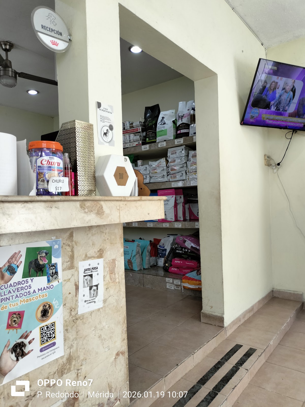 Centro Médico Veterinario, Otras zonas