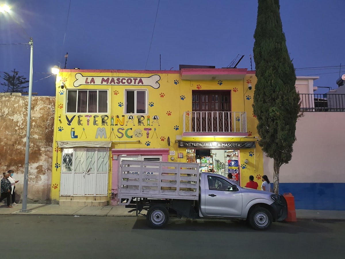 Veterinaria La Mascota, Centro Histórico