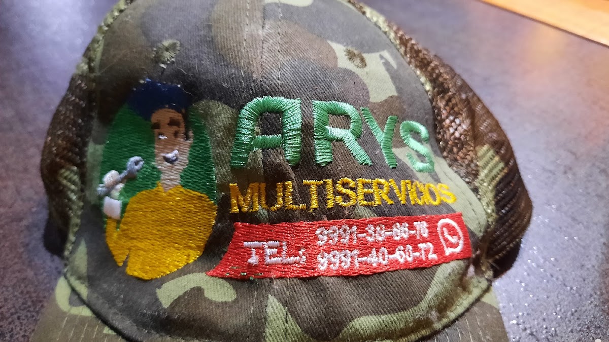 Servicios ARYS, Otras zonas