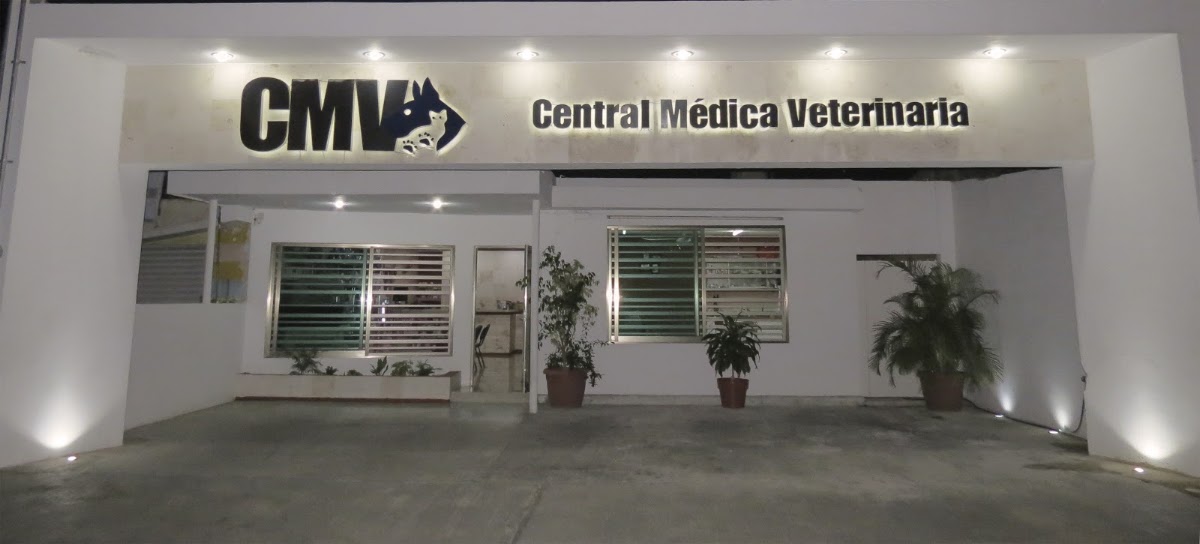 Central Médica Veterinaria, Otras zonas