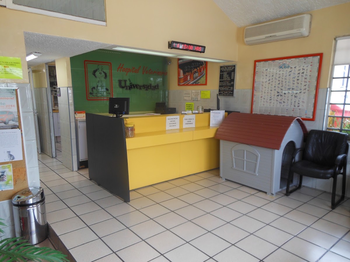 Hospital Veterinario Universidad, Zapopan