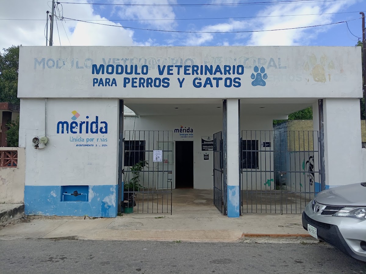 Módulo Veterinario Municipal Oriente, Otras zonas