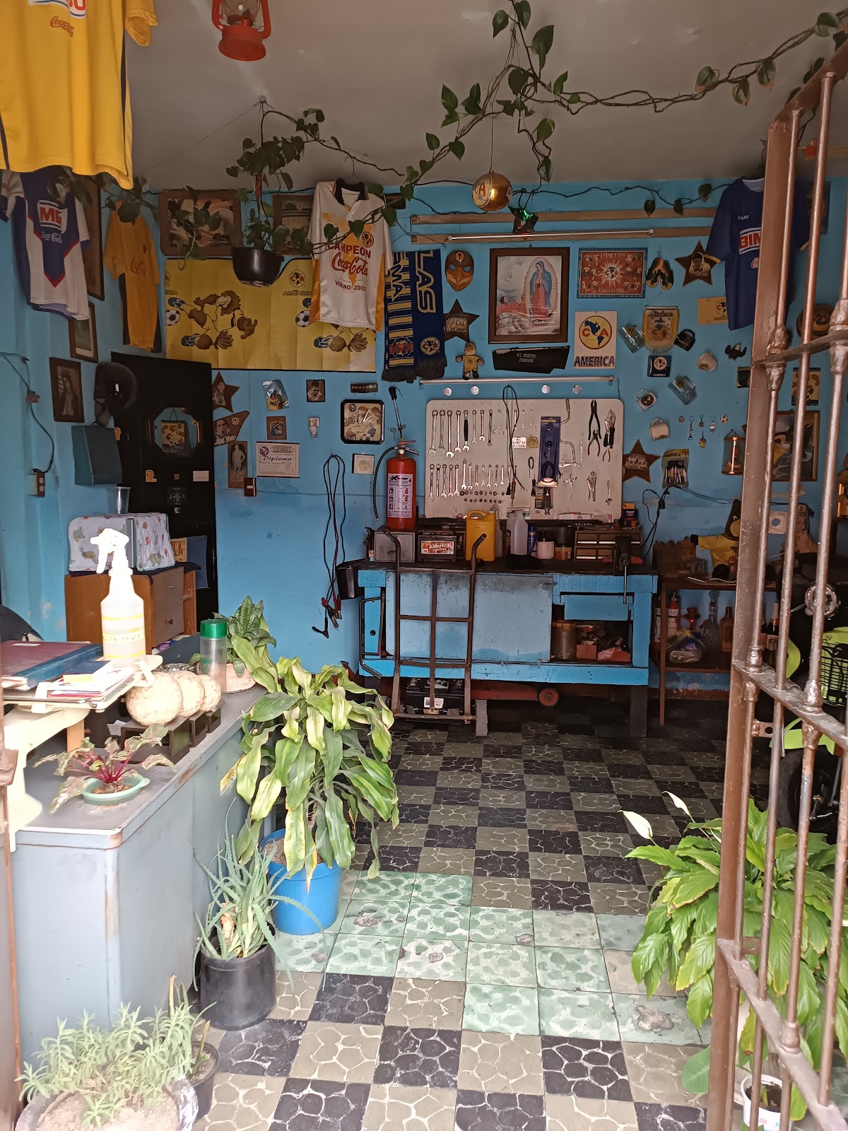 Servicio Electrico EL Güero, Centro Histórico