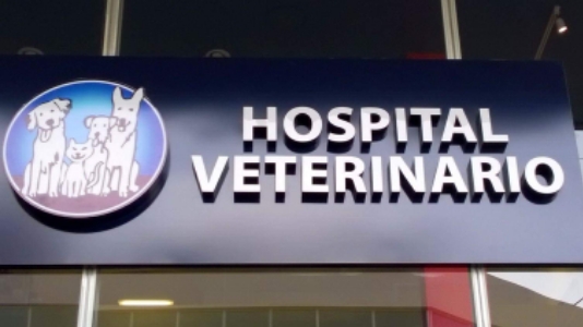Hospital Veterinario de Puebla Unidad Lomas, Angelópolis