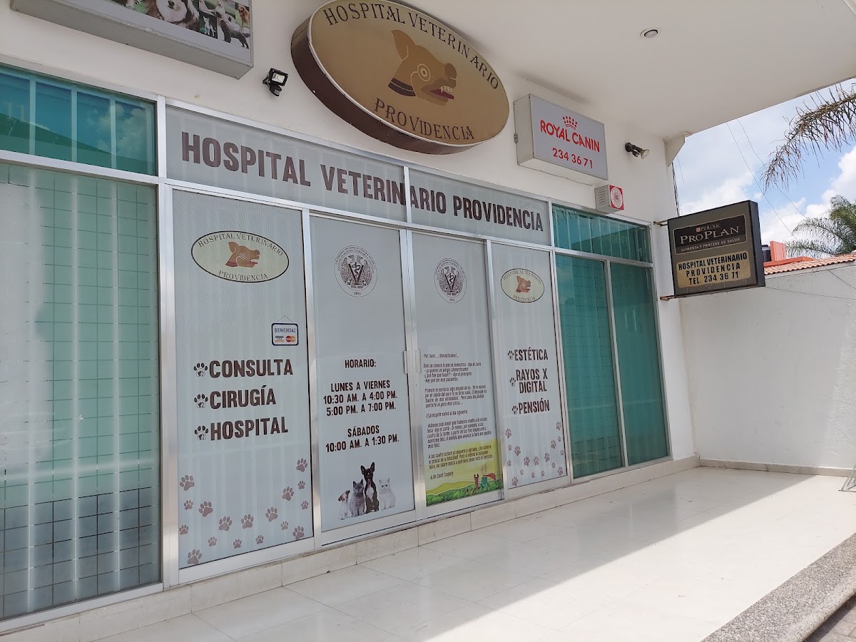 Veterinario Hospital Providencia, Juriquilla