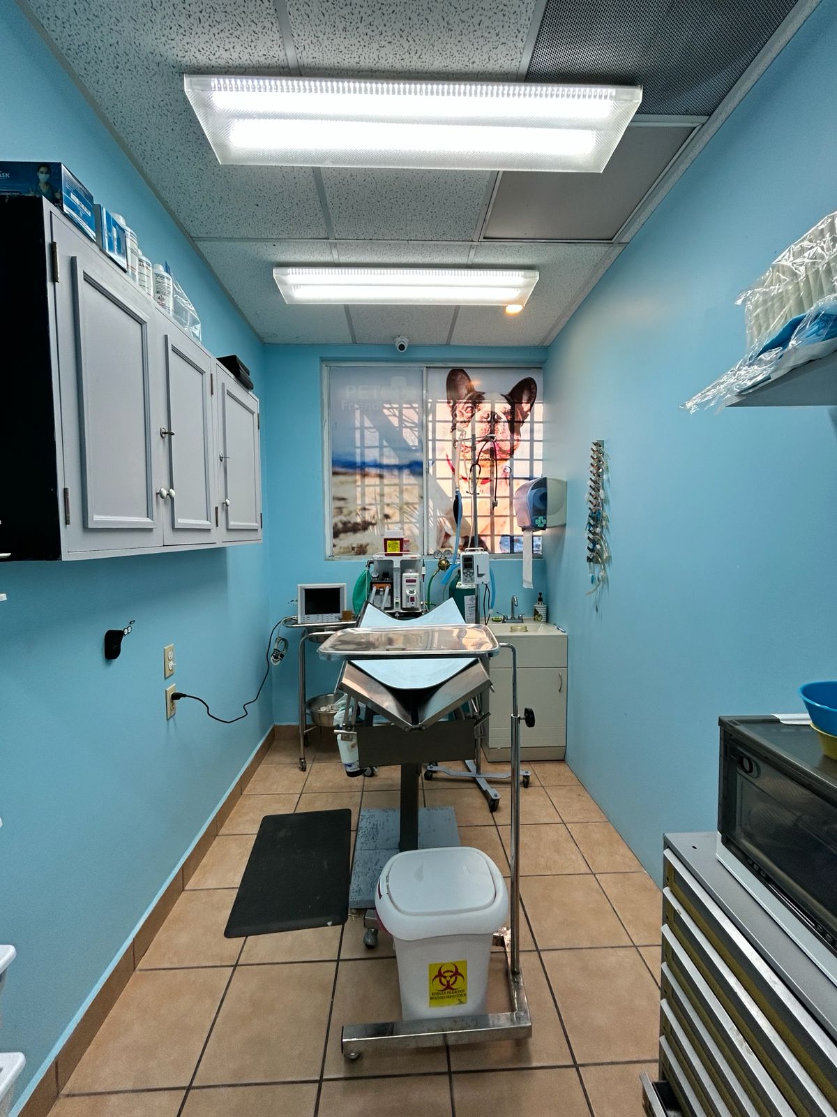 CEMEDICAVET Pet Friendly - Veterinary Clinic, Otras zonas