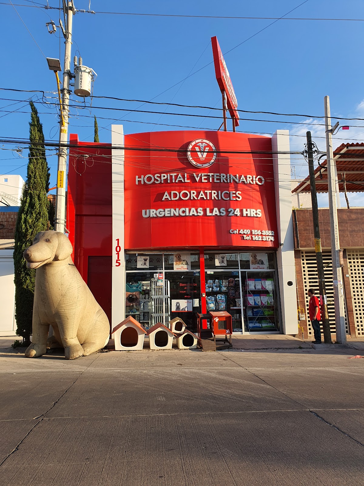 Hospital Veterinario Adoratrices, Otras zonas