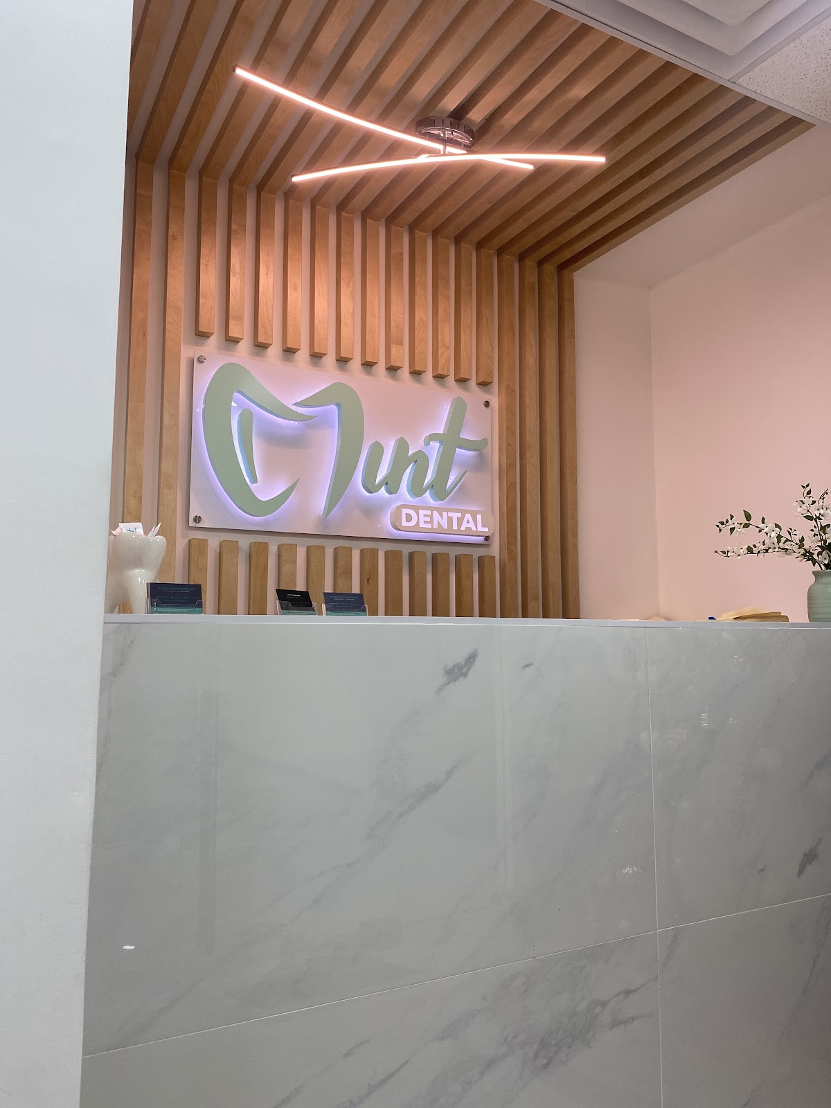 Mint Dental, Zona Río