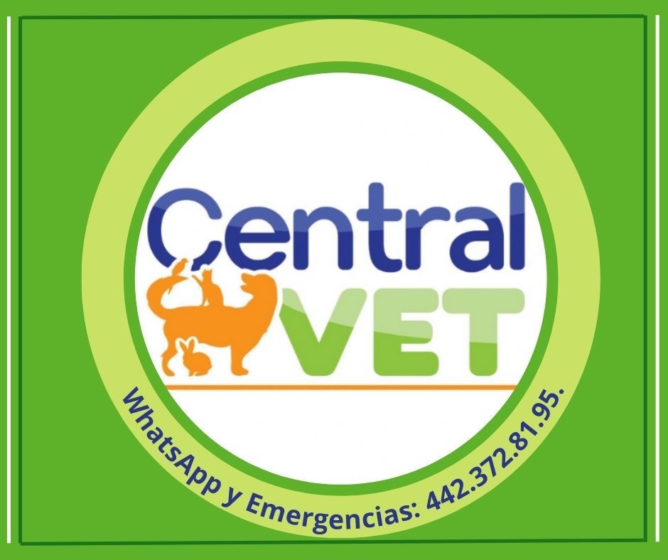 Central Vet - Veterinario, Otras zonas