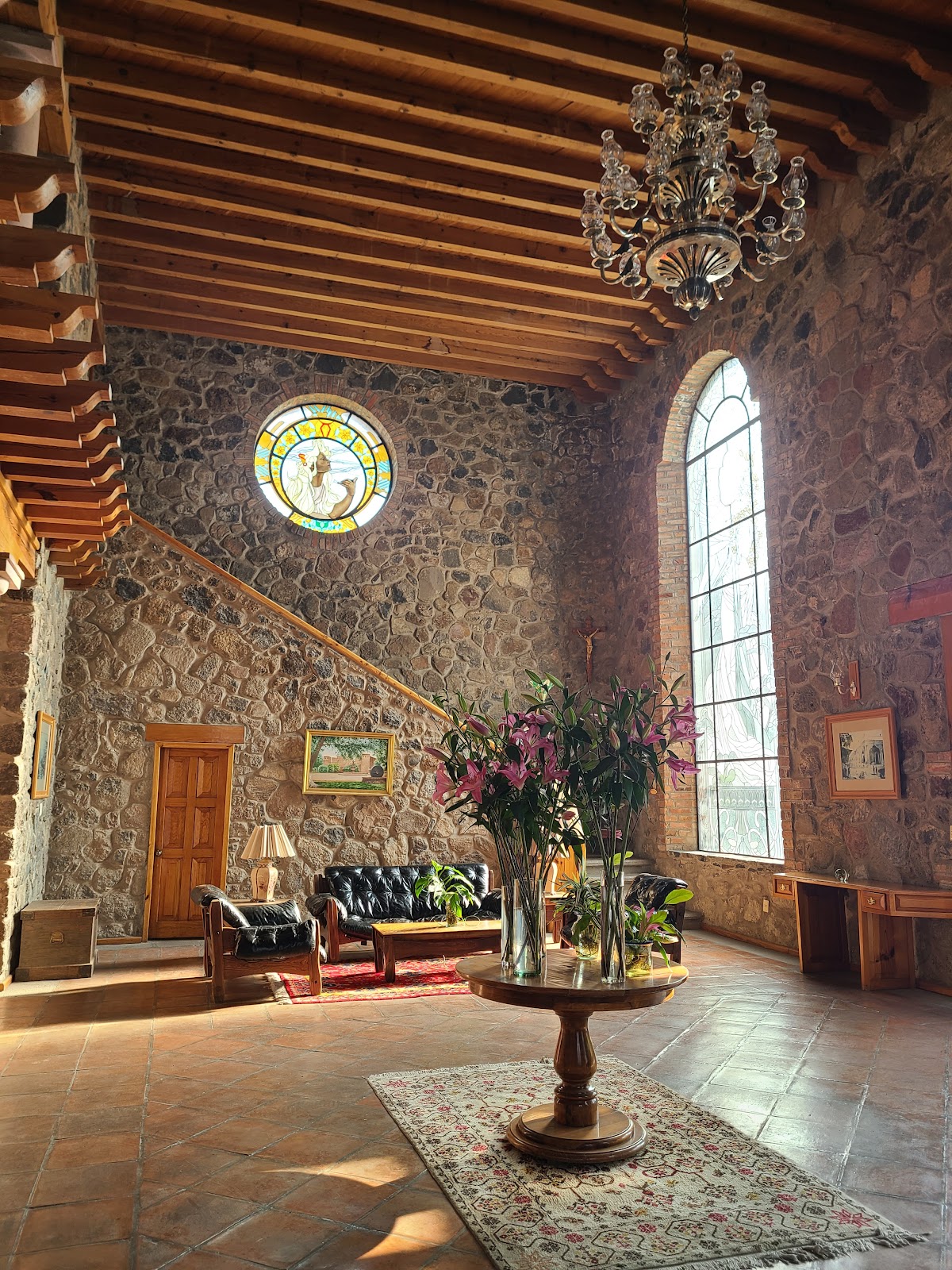 Clinica Veterinaria Jurica, Jurica
