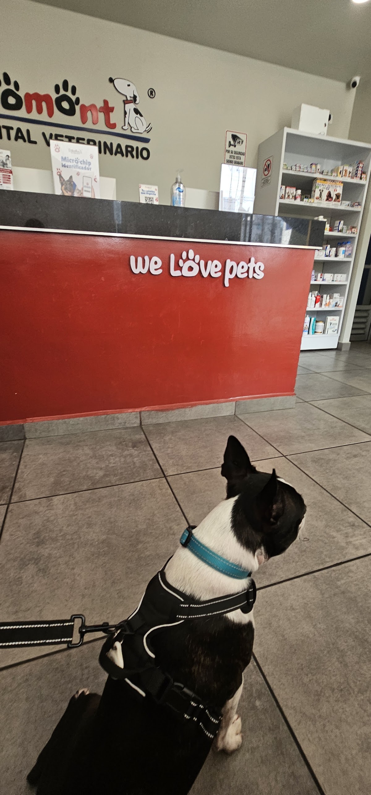 Hospital Veterinario Lomont Cumbres (Traumatología, Ortopedía, Neurología…, Cumbres