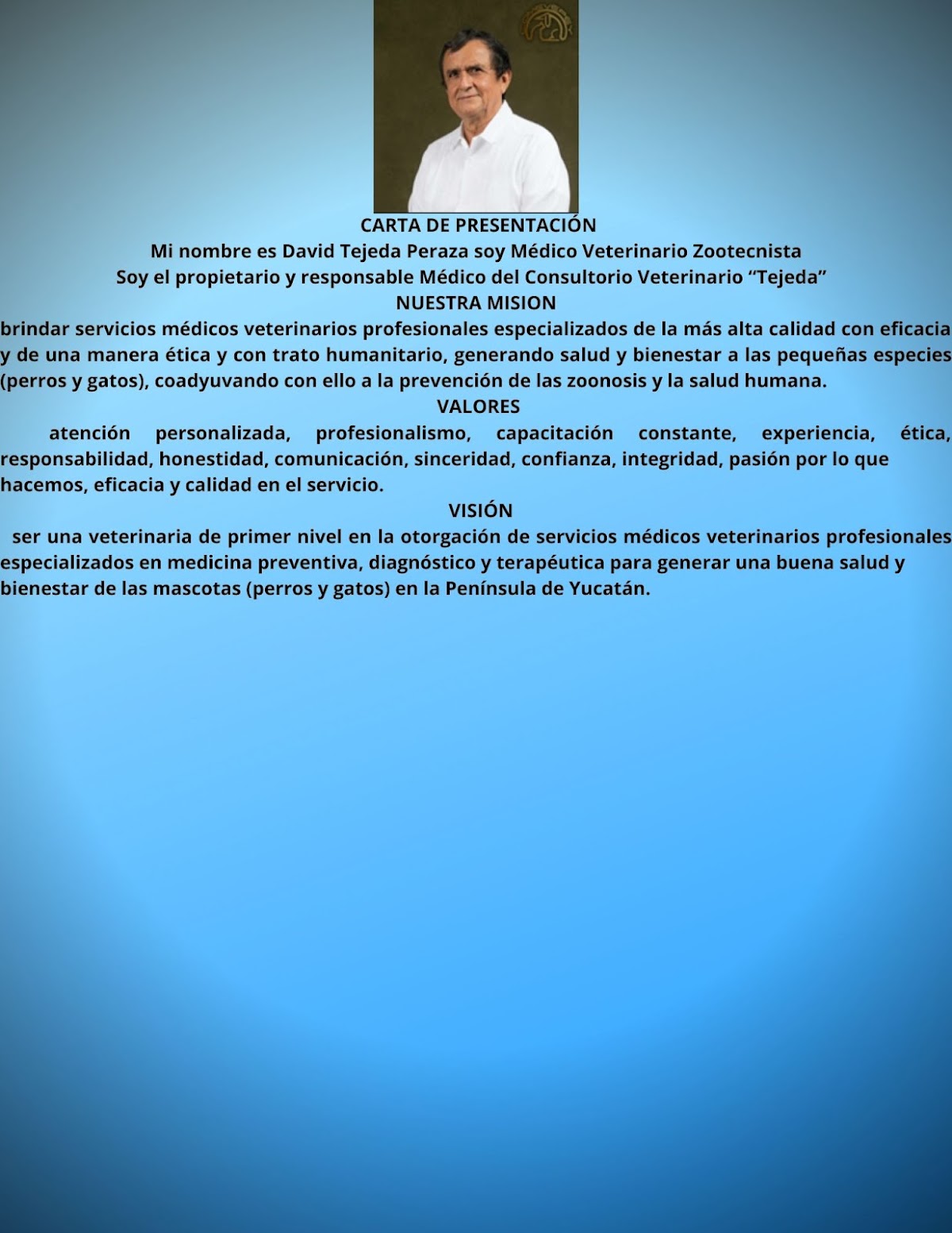 DAVID Tejeda Peraza, Centro de Mérida