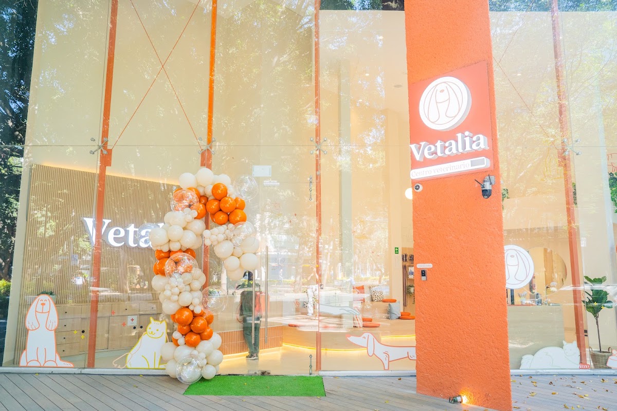 Vetalia Polanco - Hospital Veterinario 24 Horas, Polanco