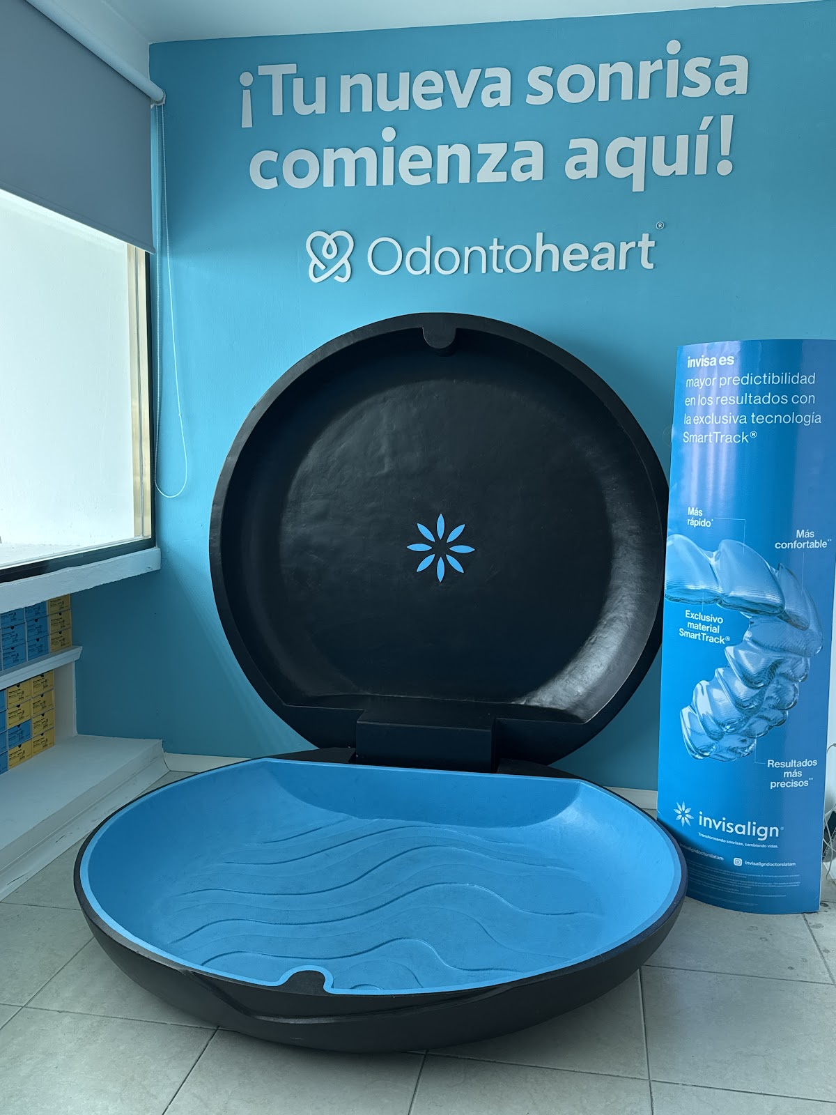 Odontoheart, Otras zonas