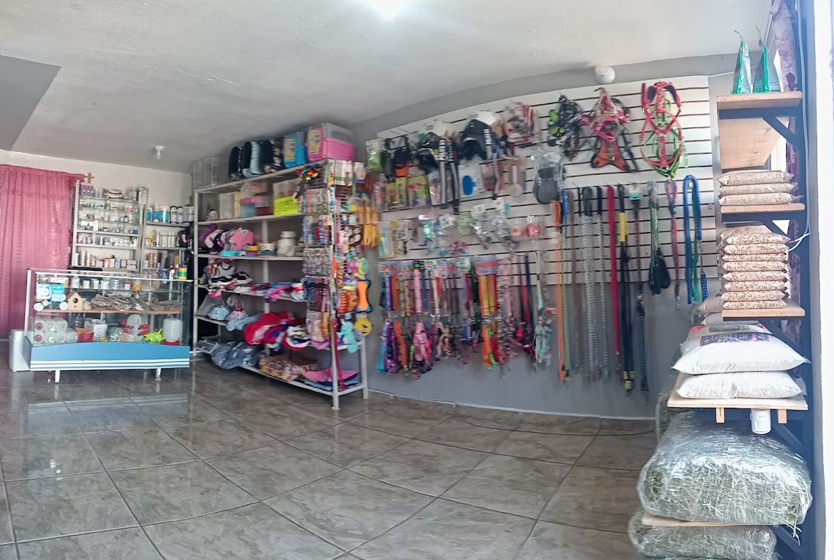 Veterinaria Ceja-vet, Sur