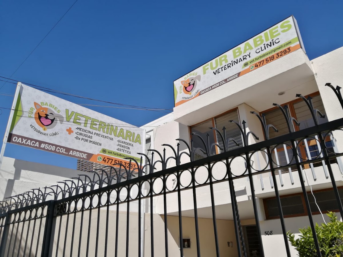 VETERINARIA FurBabiesVet, Otras zonas