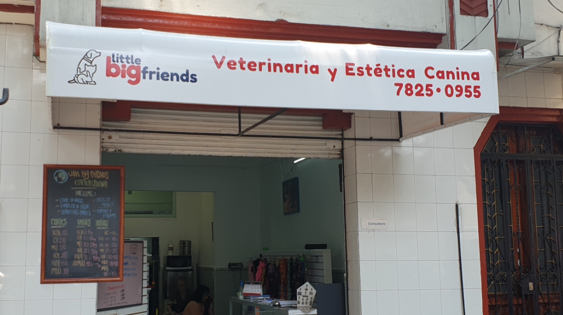 All Pets, Roma