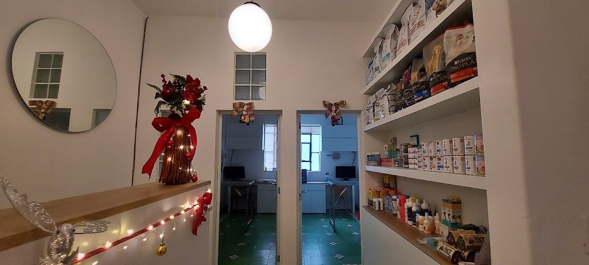 Veterinaria CVMinimac, Condesa