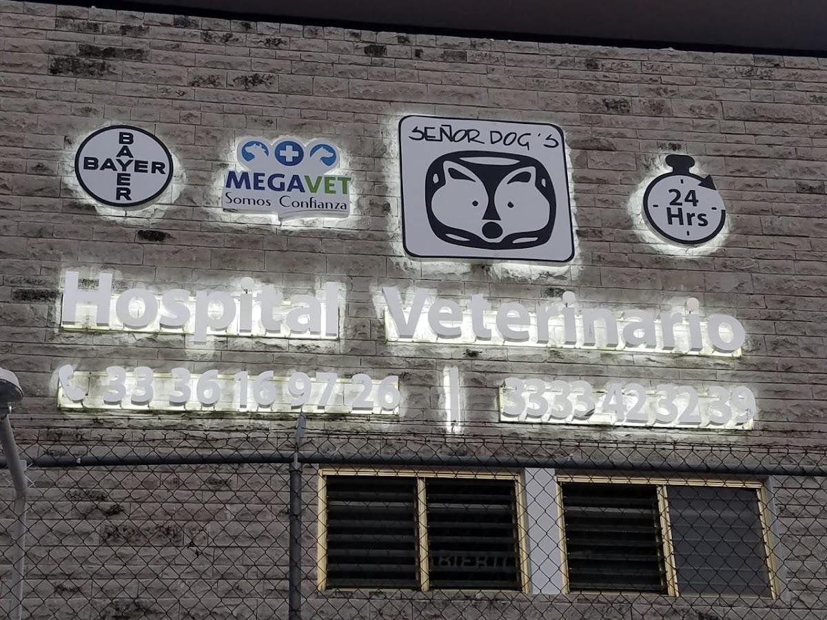 Hospital Veterinario Señor Dog´s, Otras zonas