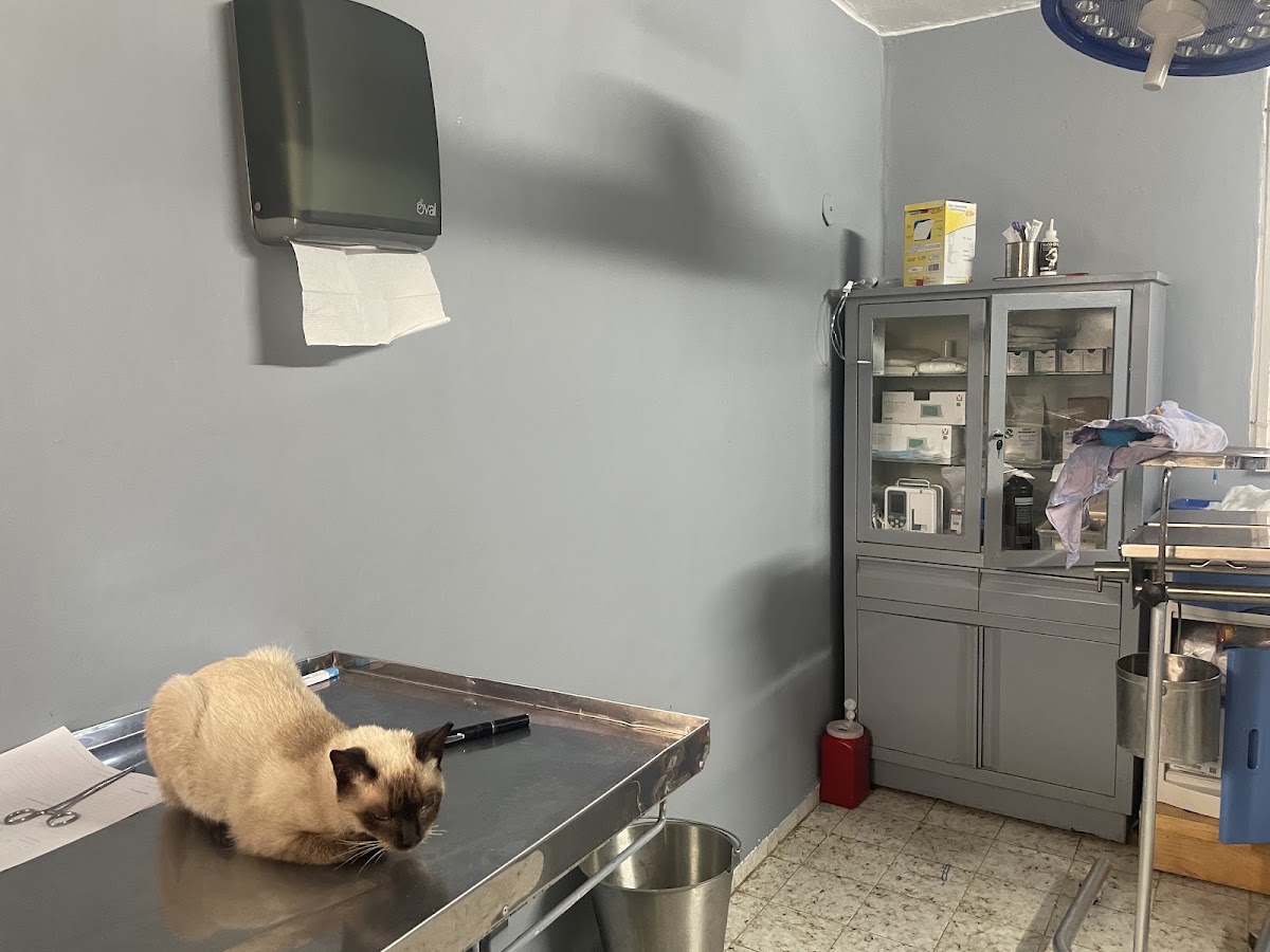 Especialidades Veterinarias Cancun, Otras zonas